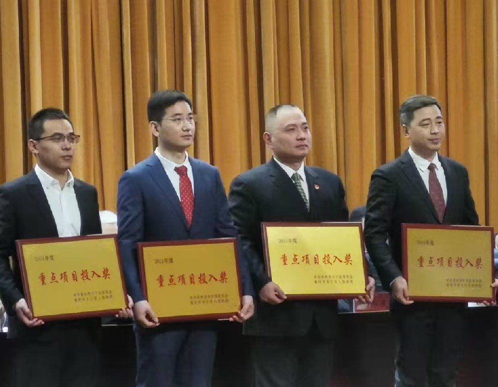 重点项目投入奖